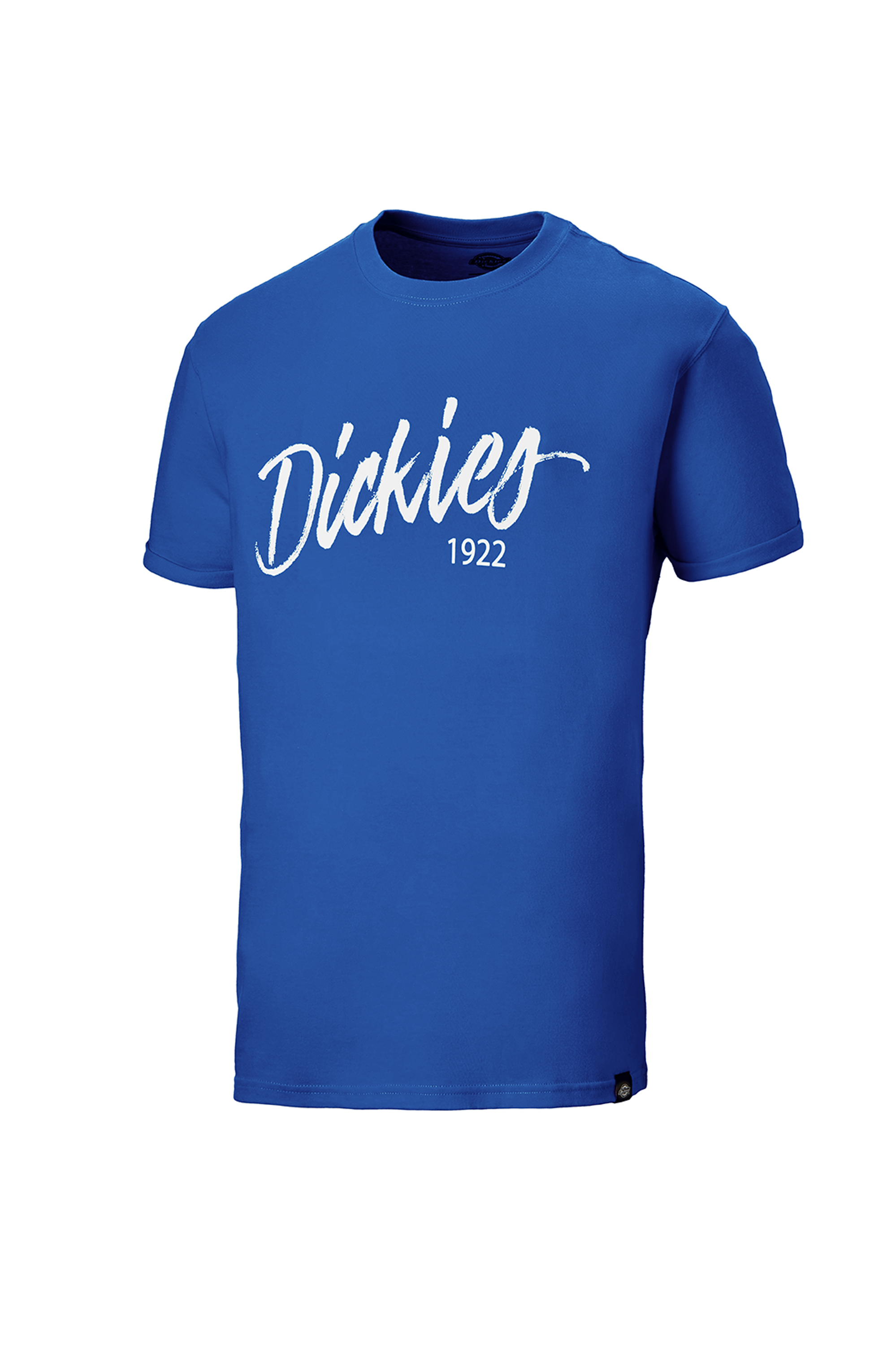 Dickies Unisex T-Shirt Hanston, Kornblau, 100% Baumwolle