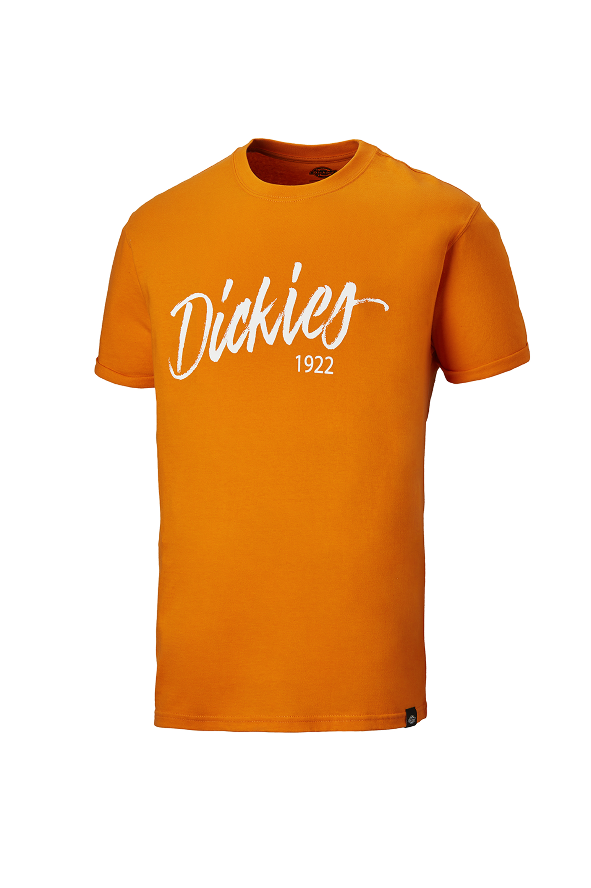 Dickies T-Shirt Hanston, orange