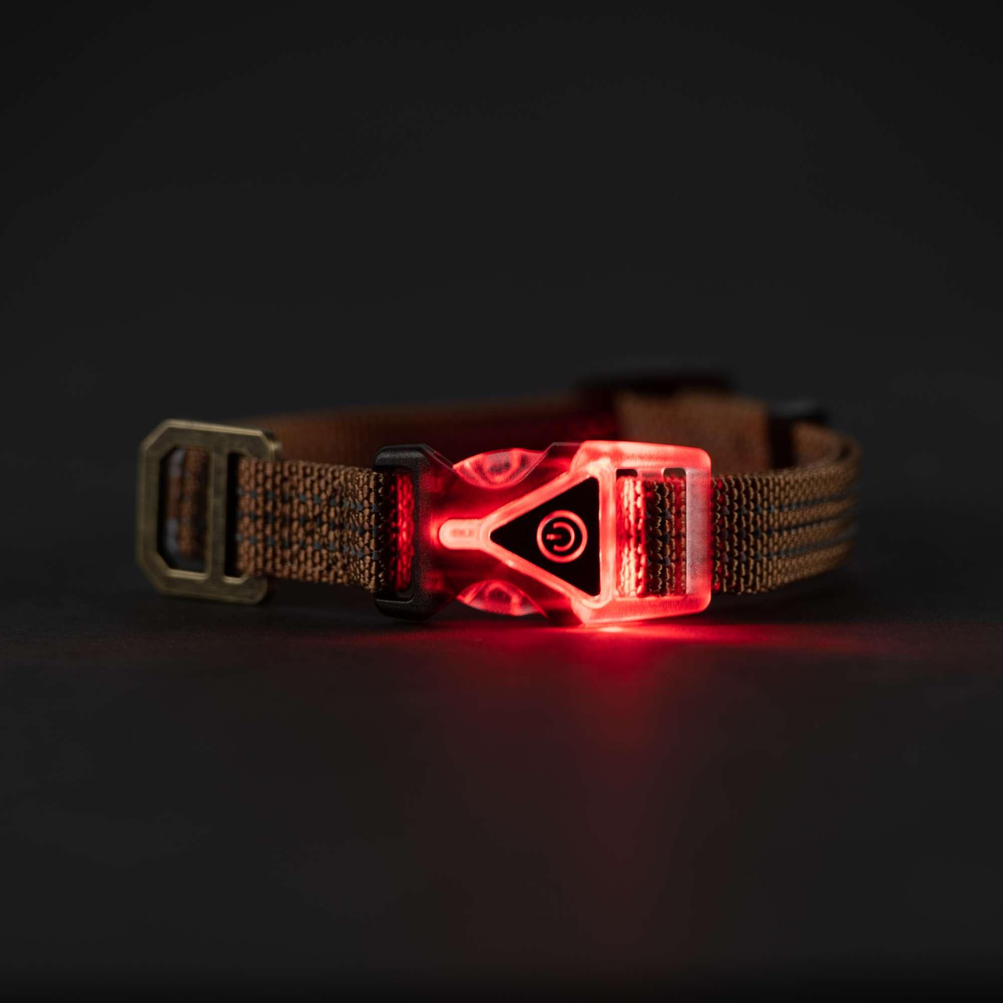 Carhartt Hundehalsband mit Roten LED, verstellbar