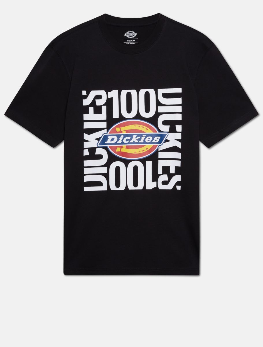 Dickies Box Tee T-Shirt schwarz mit Logo