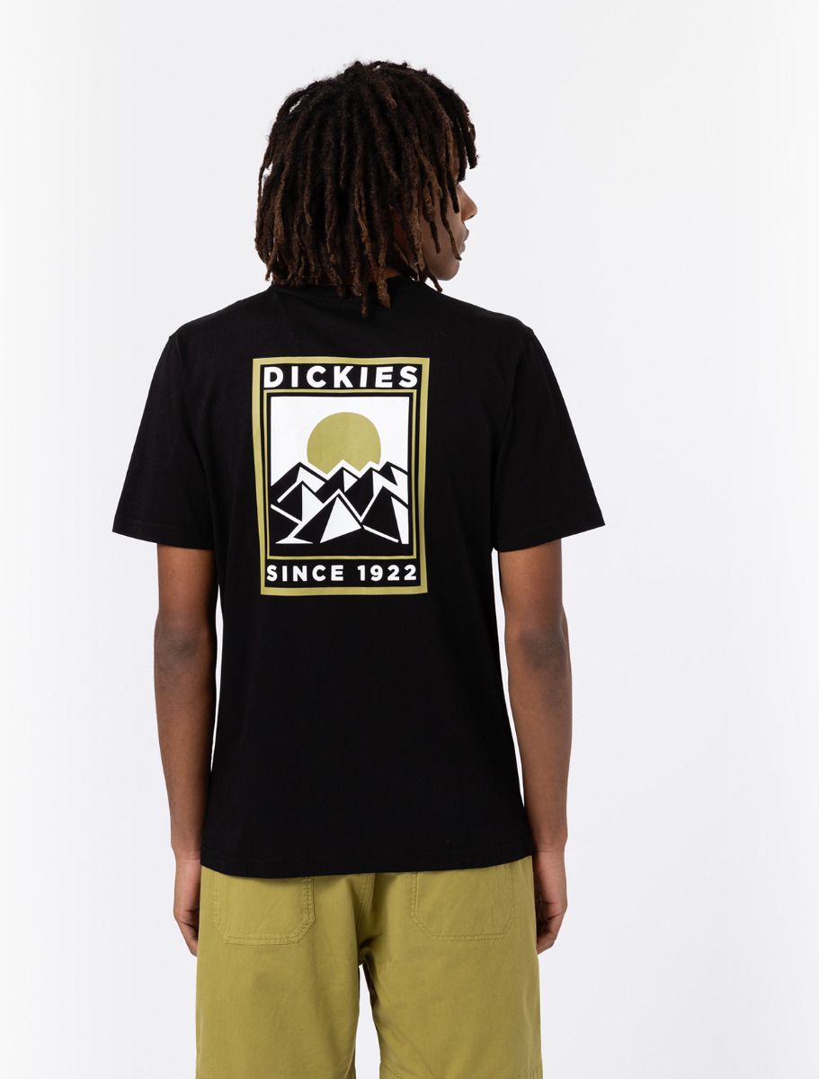 Dickies Pacific Tee T-Shirt schwarz mit Logo