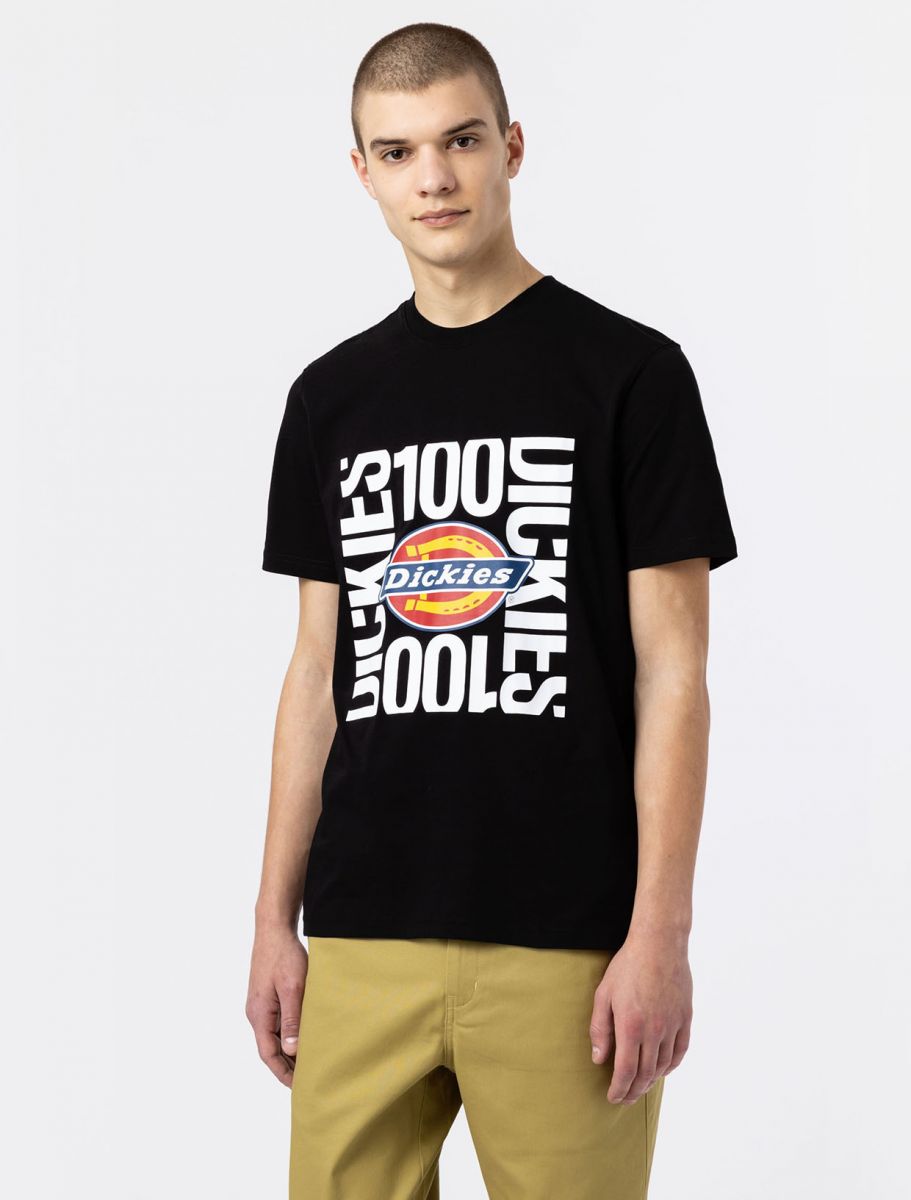 Dickies Box Tee T-Shirt schwarz mit Logo